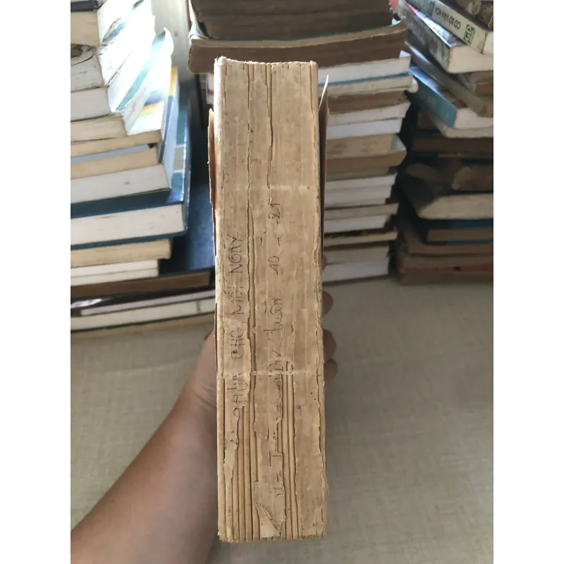 Lời chúa cho mỗi ngày_Mùa thường niên 969915