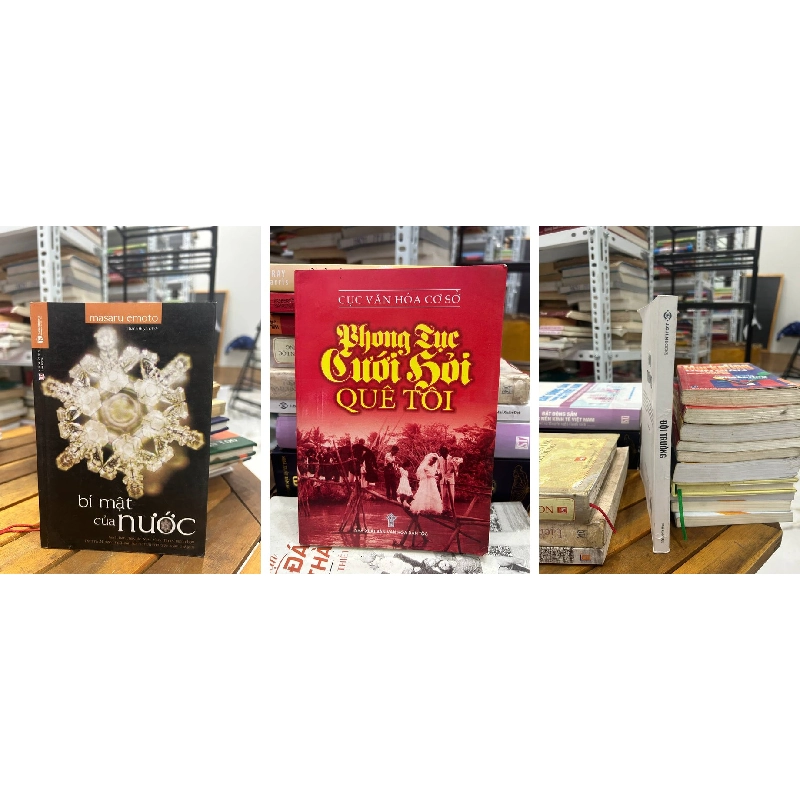 Các sách của Mai Xuân Đạt 994184