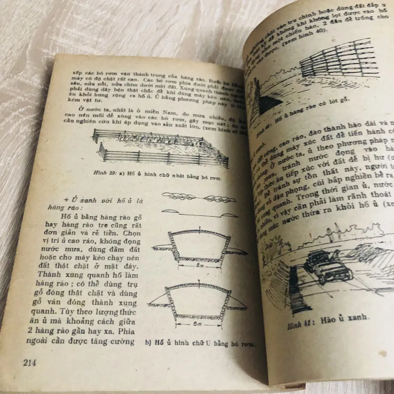 CÂY HỌ ĐẬU NHIỆT ĐỚI LÀM THỨC ĂN GIA SÚC  956873