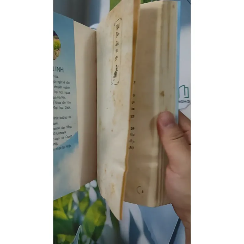 Nhật Bản Đến Và Yêu - Dương Linh 798355