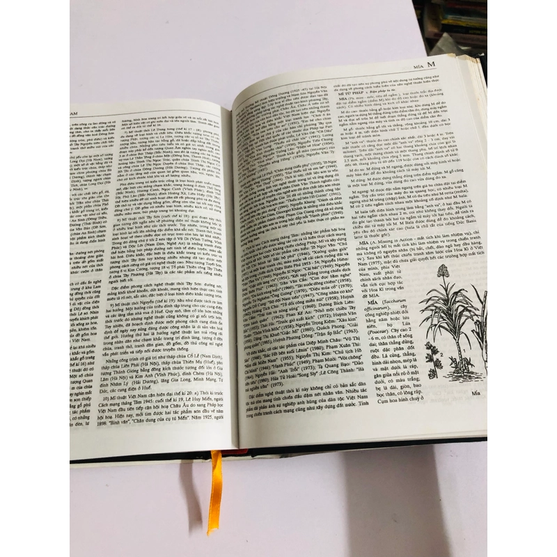 📚 TỪ ĐIỂN BÁCH KHOA VIỆT NAM – TẬP 2 539013