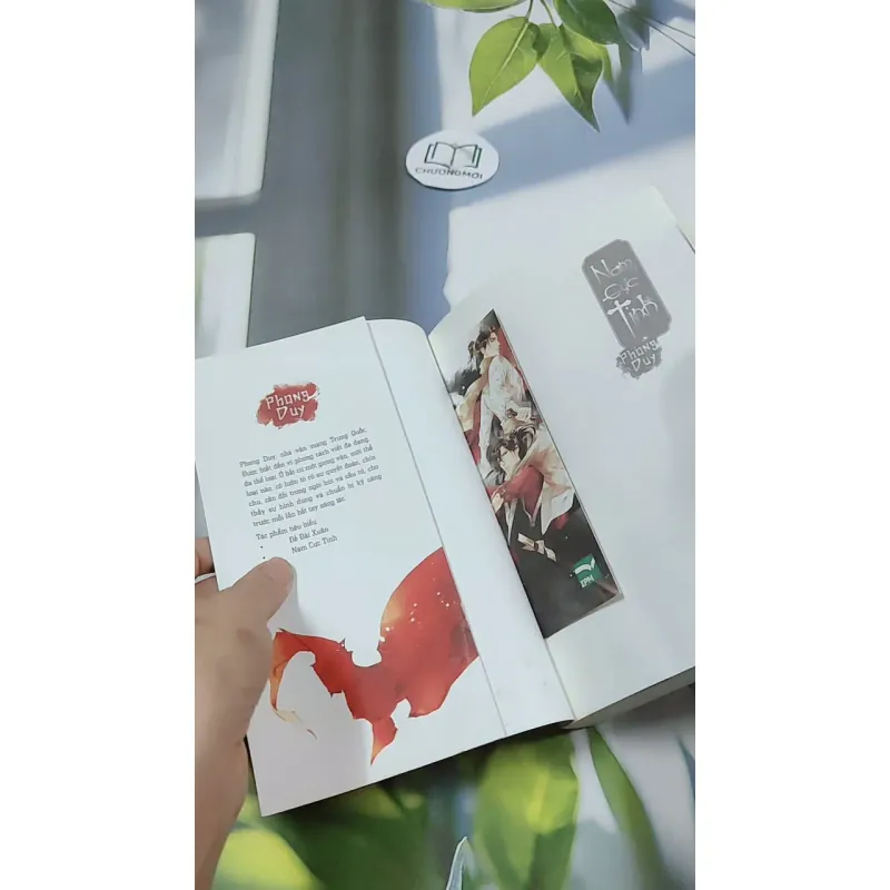 Nam Cực Tinh - Phong Duy 744707