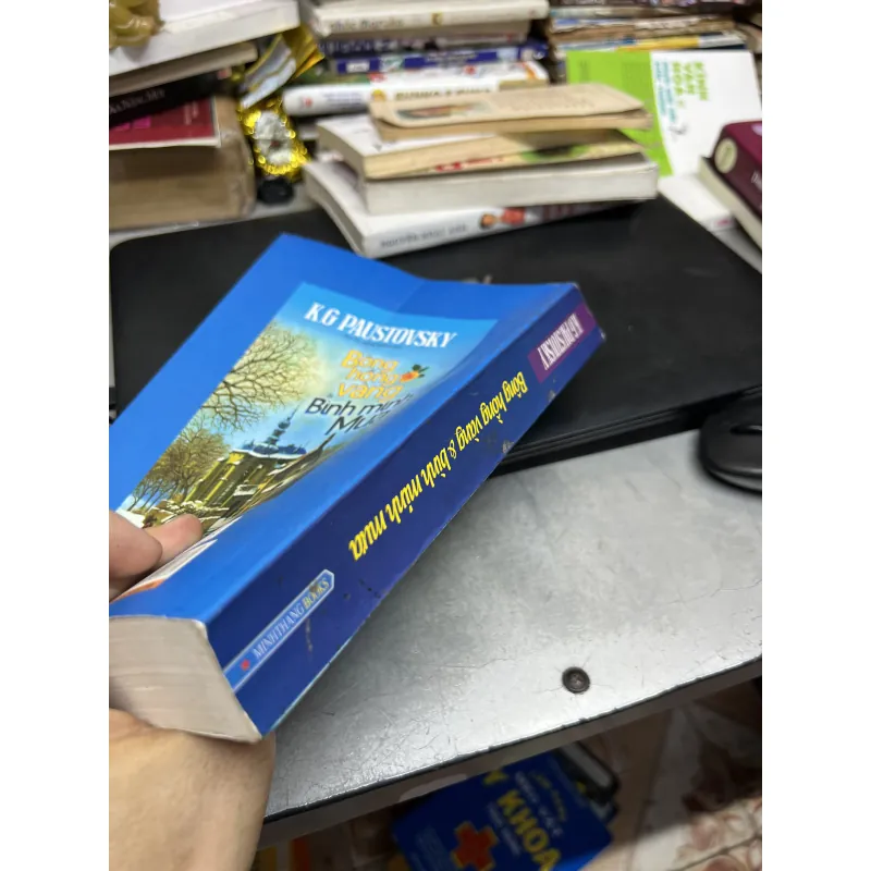 Bông Hồng Vàng Và Bình Minh Mưa 1004337