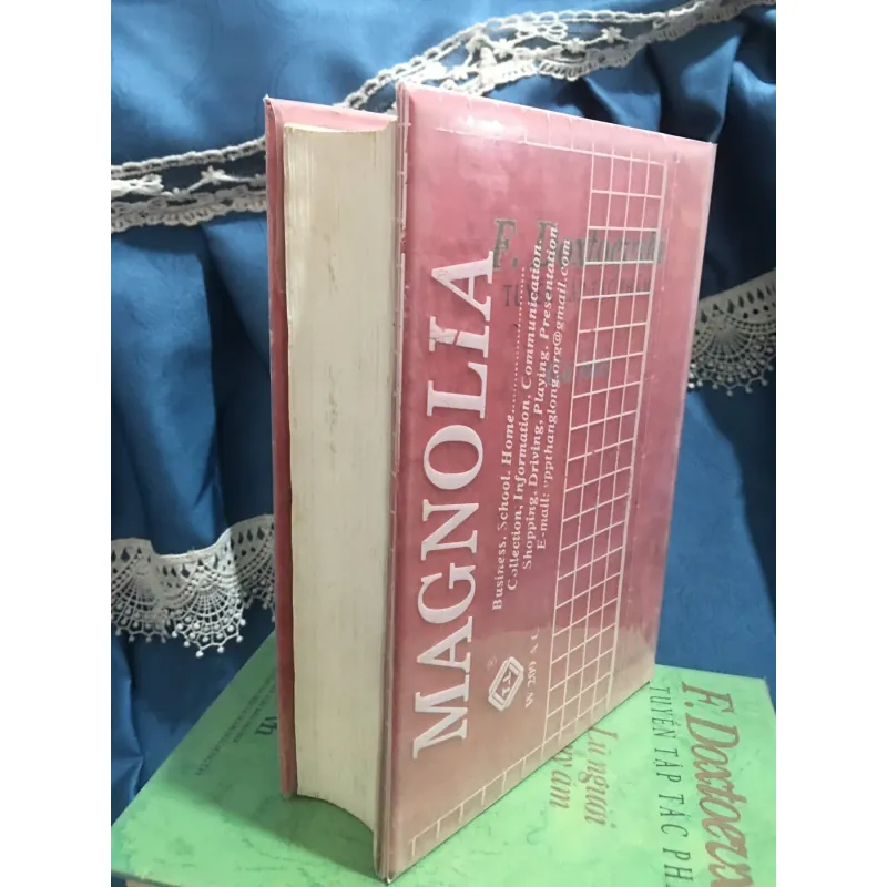 Gã khờ - F. Dostoyevski 960013