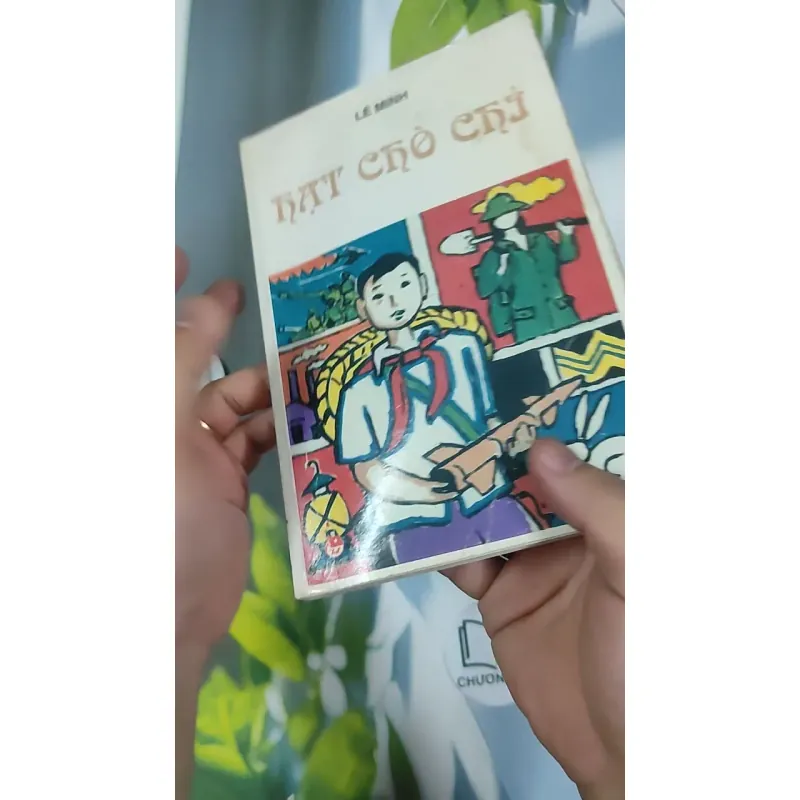 Hạt Chò Chỉ - Lê Minh 798479