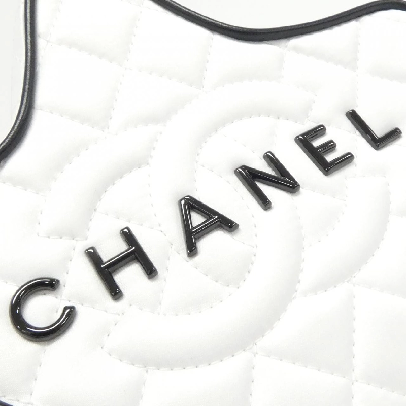 Túi xách vai Chanel AS4579 613750