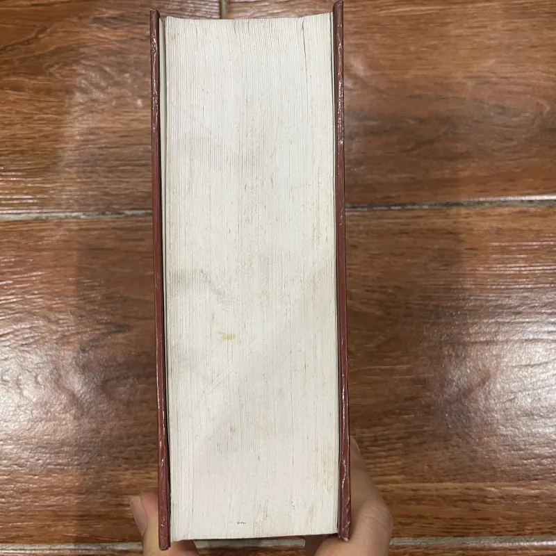 Những Bậc Thầy Văn Chương - Lê Huy Hoà & Nguyễn Văn Bình (10) 999359