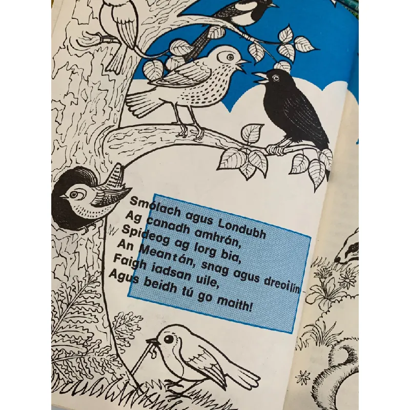 Gealan 1984 – Leabhar Bliana 559648