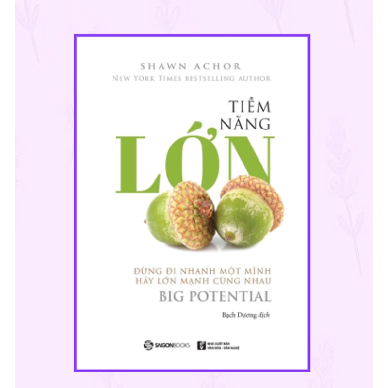 Tiềm Năng Lớn - Shawn Achor 533056