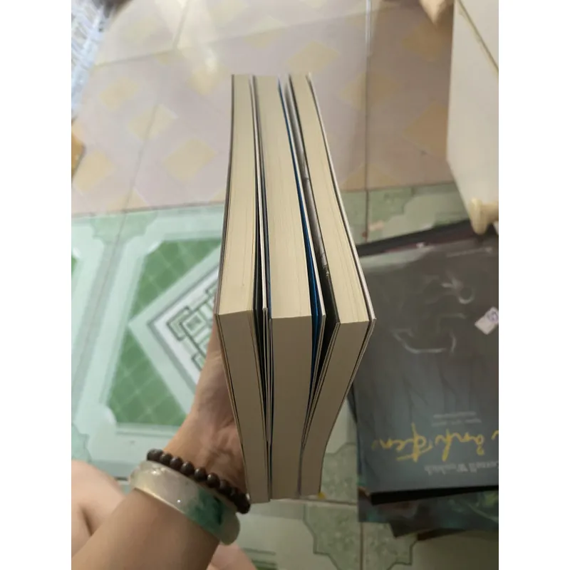 Đốt cỏ ngày đồng + mưa ở kiếp sau + và khi tro bụi  Đoàn Minh Phượng a 731036