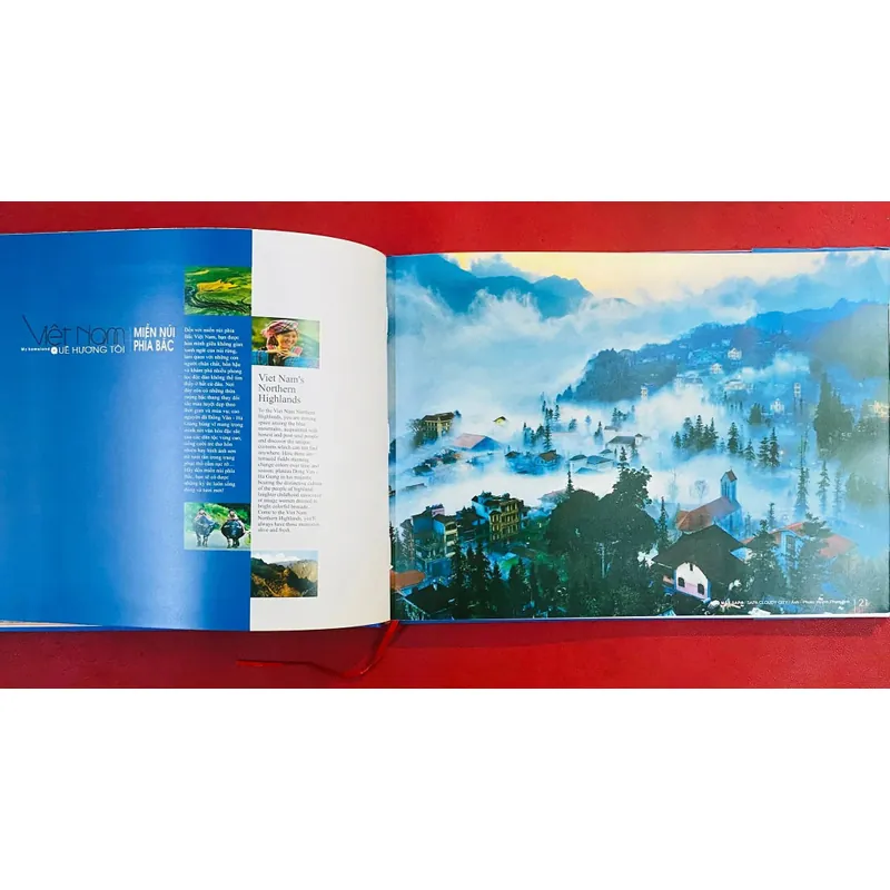 Việt Nam Quê Hương Tôi 591002