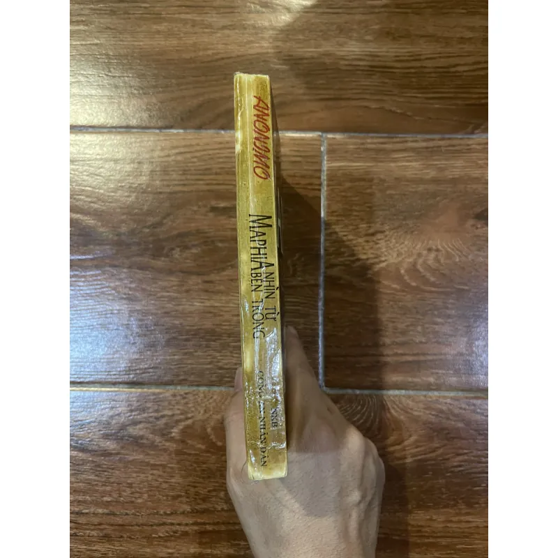 MAPHIA - Nhìn từ bên trong  (7) 597615