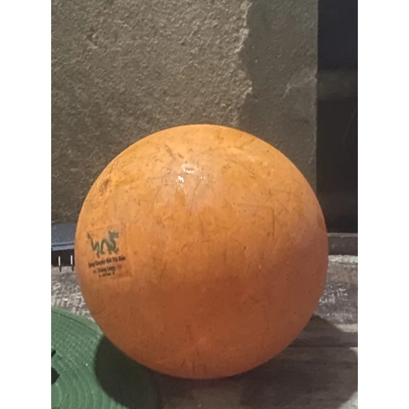 Quả bóng chuyền hơi  787297