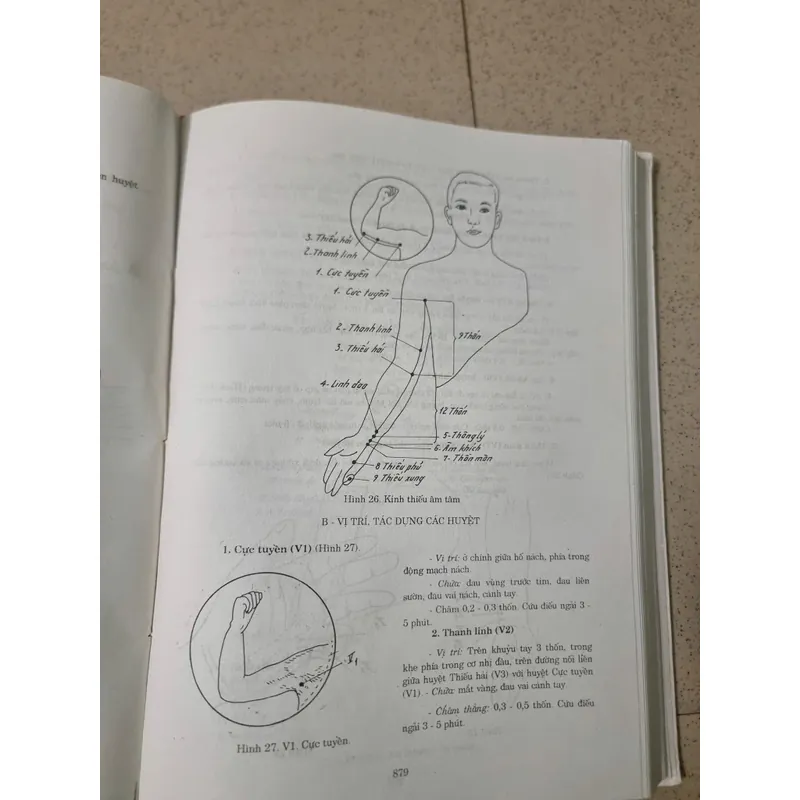 Y Học Cổ Truyền  593569