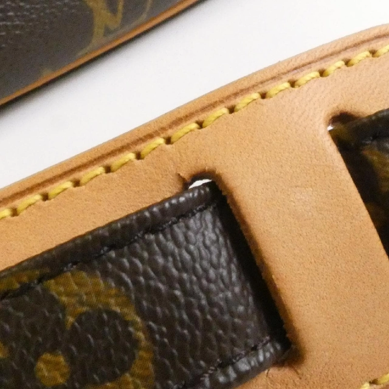 Túi xách vai Louis Vuitton Monogram Nile M45244 608821