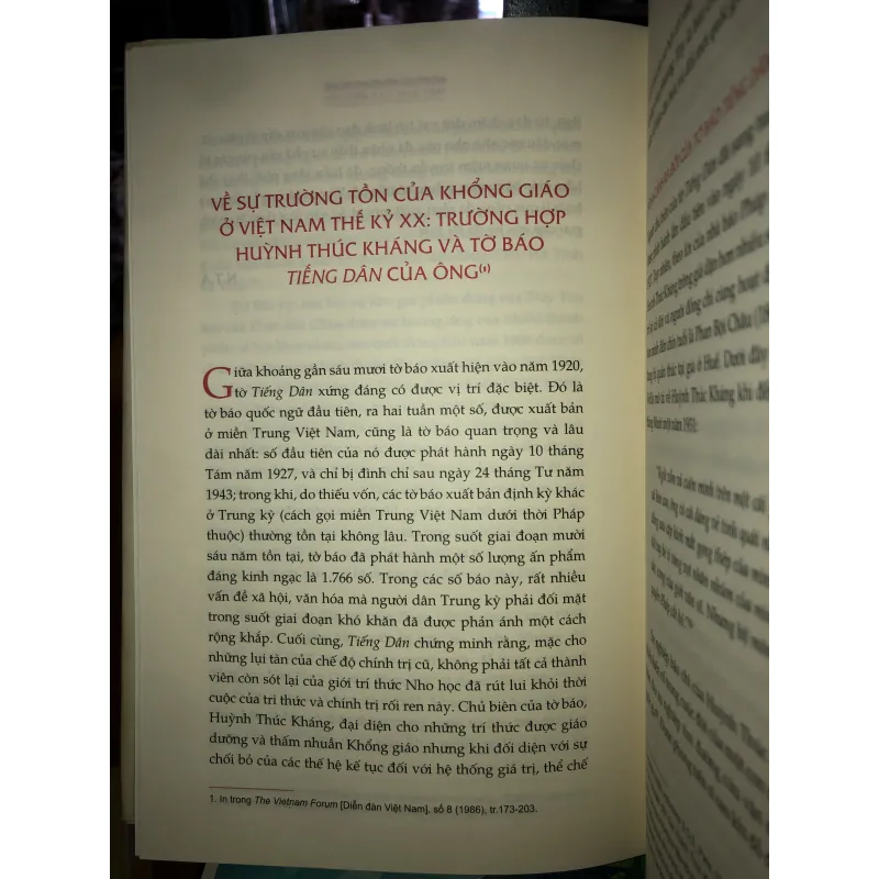 Việt Nam vận hội - Nguyễn Thế Anh 748996