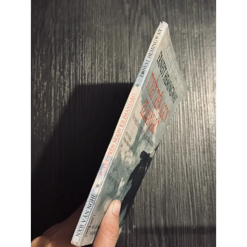 Tuyết trên ngọn kilimanjaro  602023