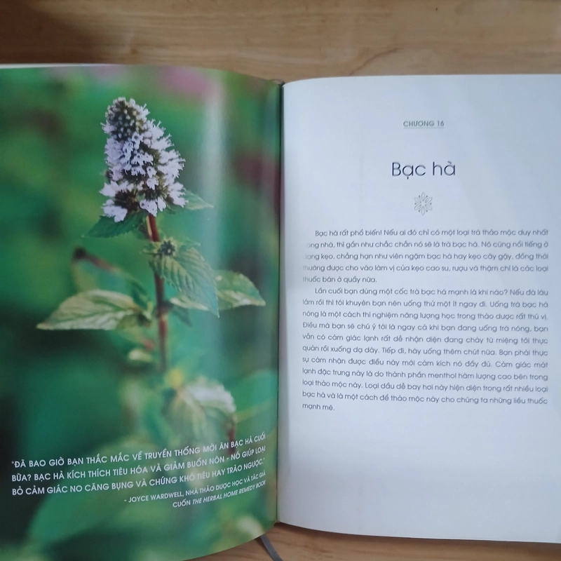 Năng Lượng Sống Từ Thảo Dược - Rosalee De La Forêt 529080