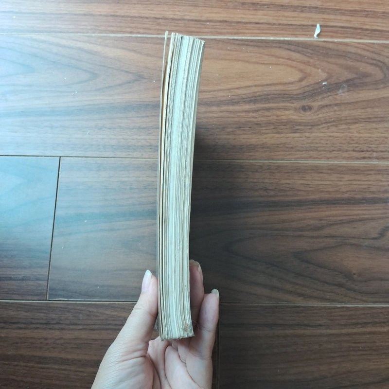 Bức họa Maja khỏa thân 506406