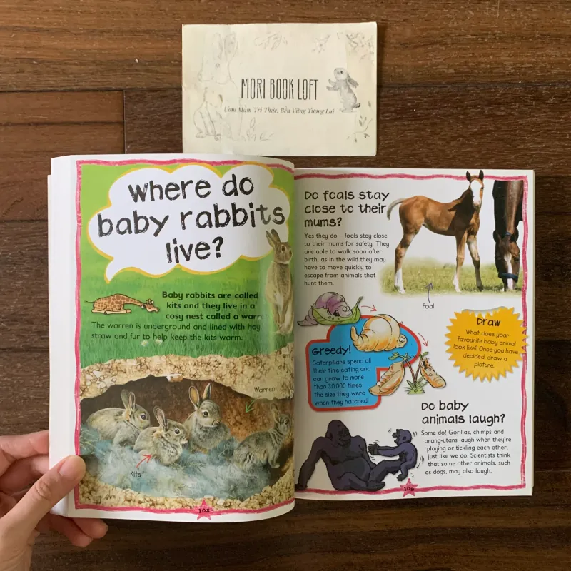 Sách ngoại văn My First Animal Questions and Answers, Used, Siêu Dày 578055
