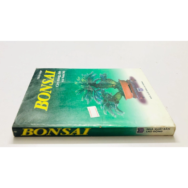 BONSAI CÂY DÁNG, THẾ VÀ NON BỘ 447857