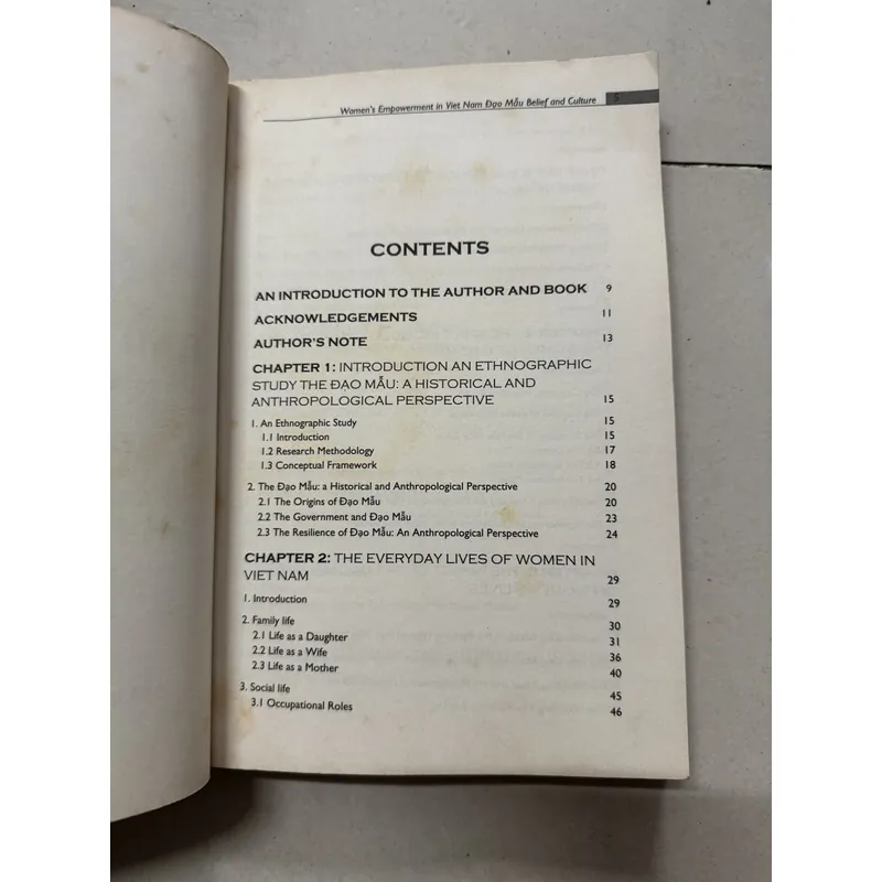 Đạo mẫu Việt Nam 699351