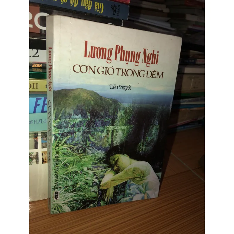 Cơn gió trong đêm - Lương Phụng Nghi 1000767