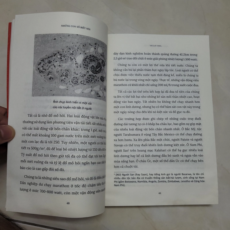 Sách Những con số biết nói 453332