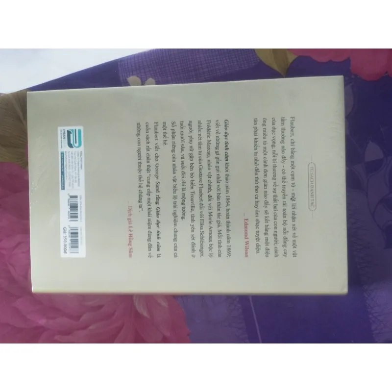 Giáo Dục Tình Cảm- Gustave Flaubert (bìa cứng) 931213