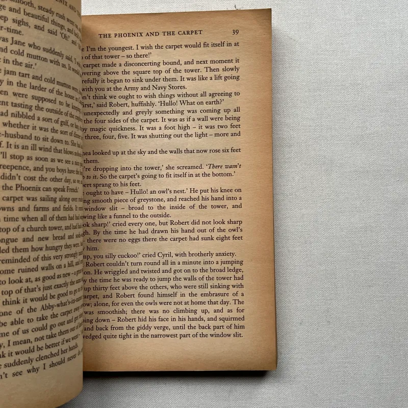 The Phoenix and the Carpet - Edith Nesbit 960650