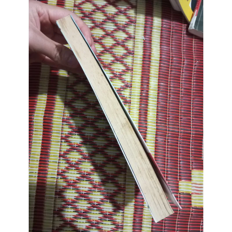 Hòn đảo bay - Nguyễn Hoàng Vũ 702863