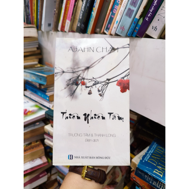 Thiên nhiên tâm 🌱 506681
