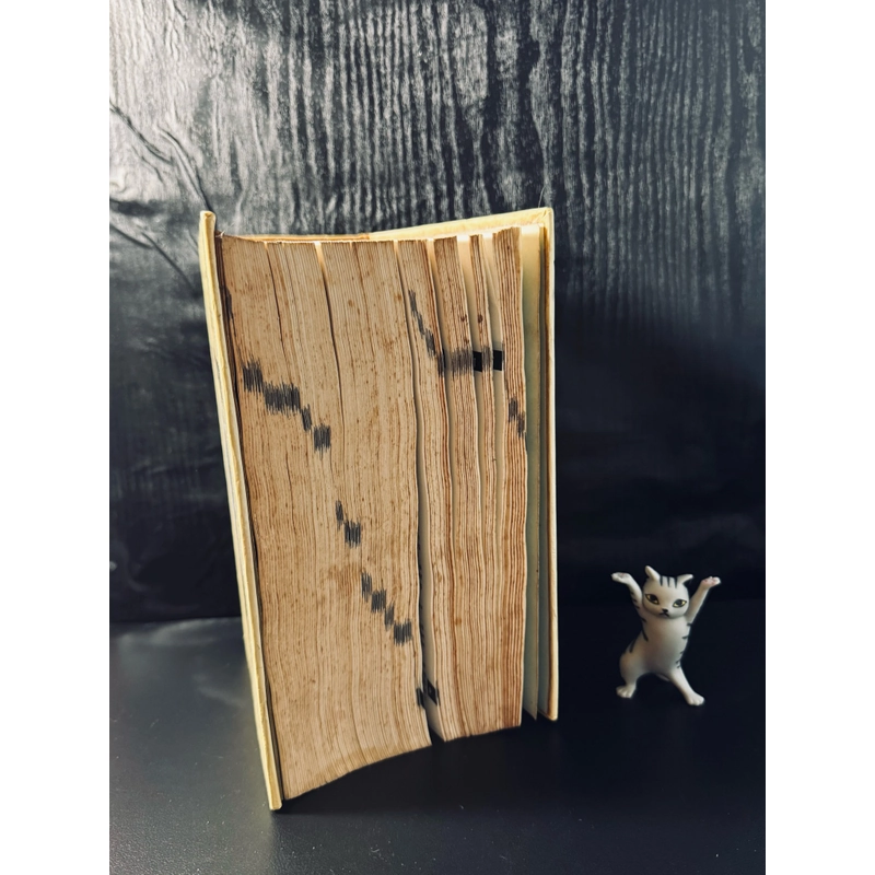 Từ điển tiếng Việt 453453