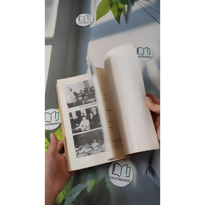 Việt Nam: Những sự kiện lịch sử (1945 - 1975) 1018831