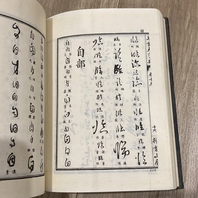 THƯ PHÁP ĐẠI TỪ ĐIỂN, sách in tại Trung Quốc  1028997