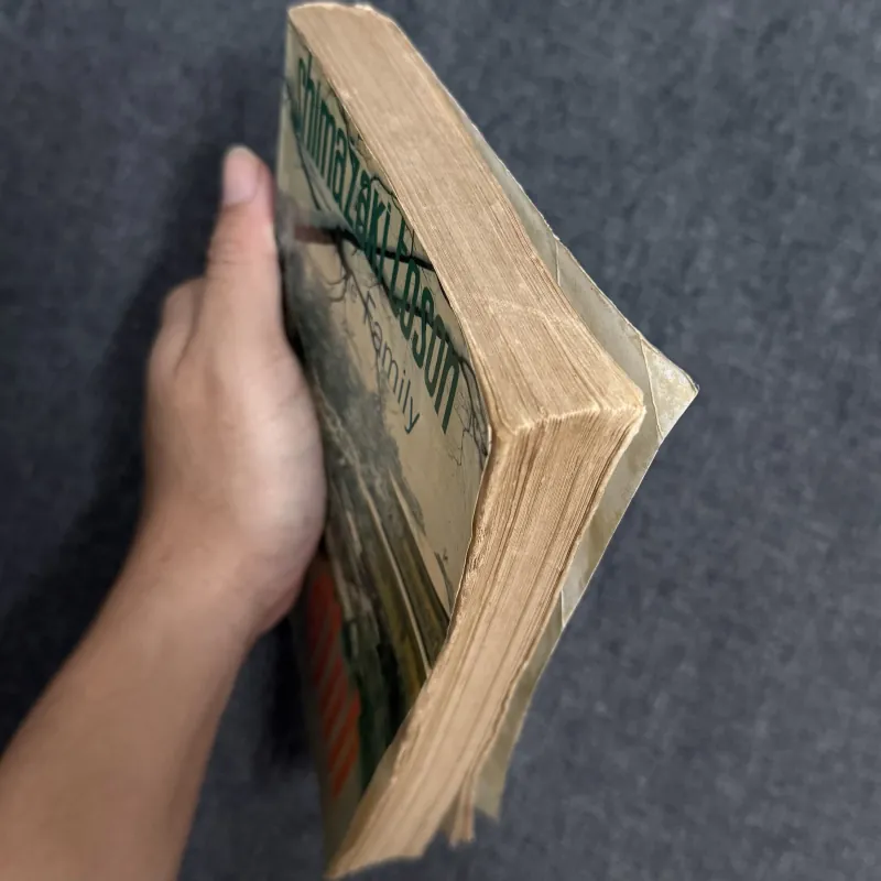 Gia đình - Shimazaki Toson 785210