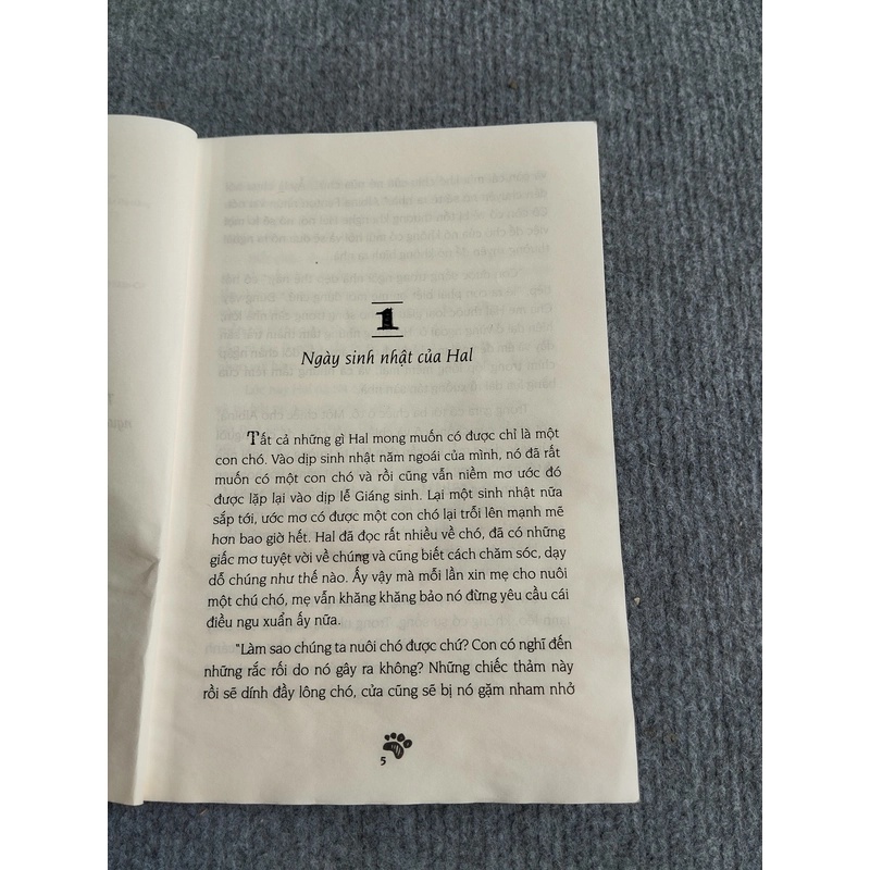 CẬU BÉ VÀ CHÚ CHÓ NHỎ - EVA IBBOTSON 552737