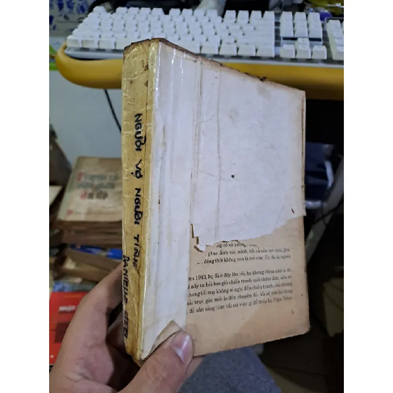 Người vợ người tình mới 60% mất bìa rách trang lót, nội dung còn đọc được Văn học nước ngoài HCM1709 559892