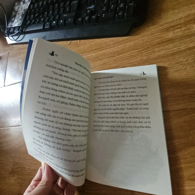 Chuyện con mèo dạy hải âu bay 20k 674517