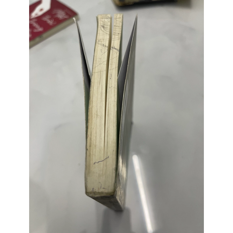Tôi từng nghĩ mọi thứ sẽ ổn khi trở thành người lớn 548117