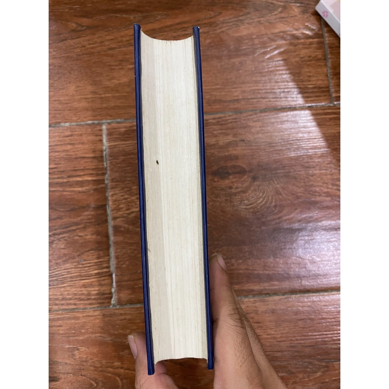 Hồ Quý Ly - Nguyễn Xuân Khánh (t4) 327681