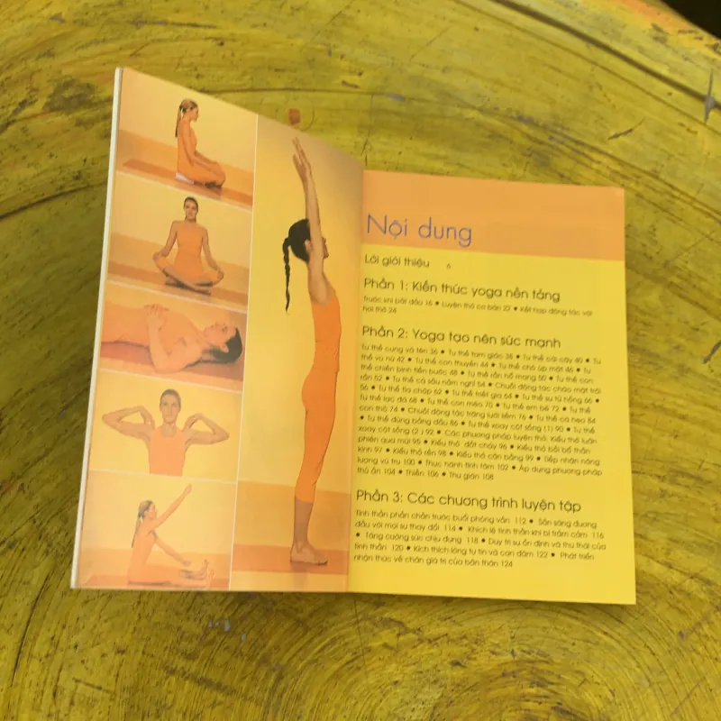 COMBO YOGA CHỮA BỆNH & YOGA LUYỆN SỨC MẠNH TINH THẦN 779354