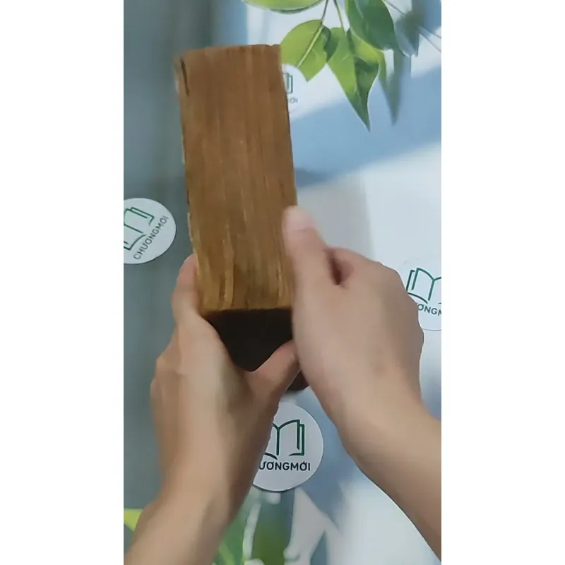 Sử Ký Tư Mã Thiên 674967