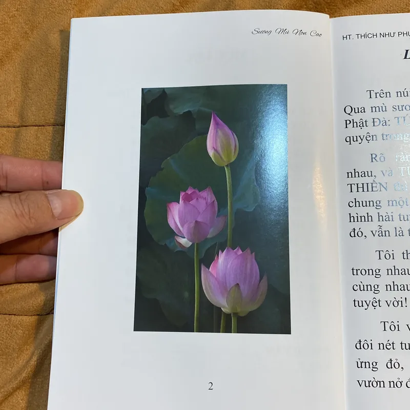 Sương Mù Non Cao - HT Thích Như Phước Tú 605412