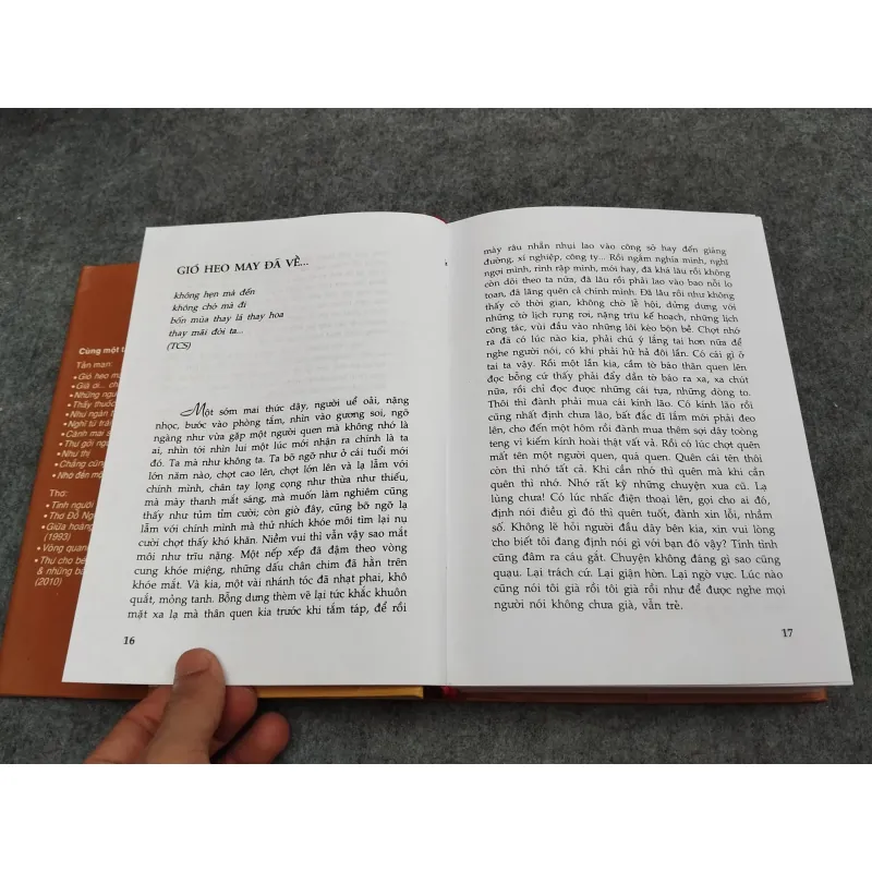 CÀNH MAI TRƯỚC SÂN - ĐỖ HỒNG NGỌC 936845