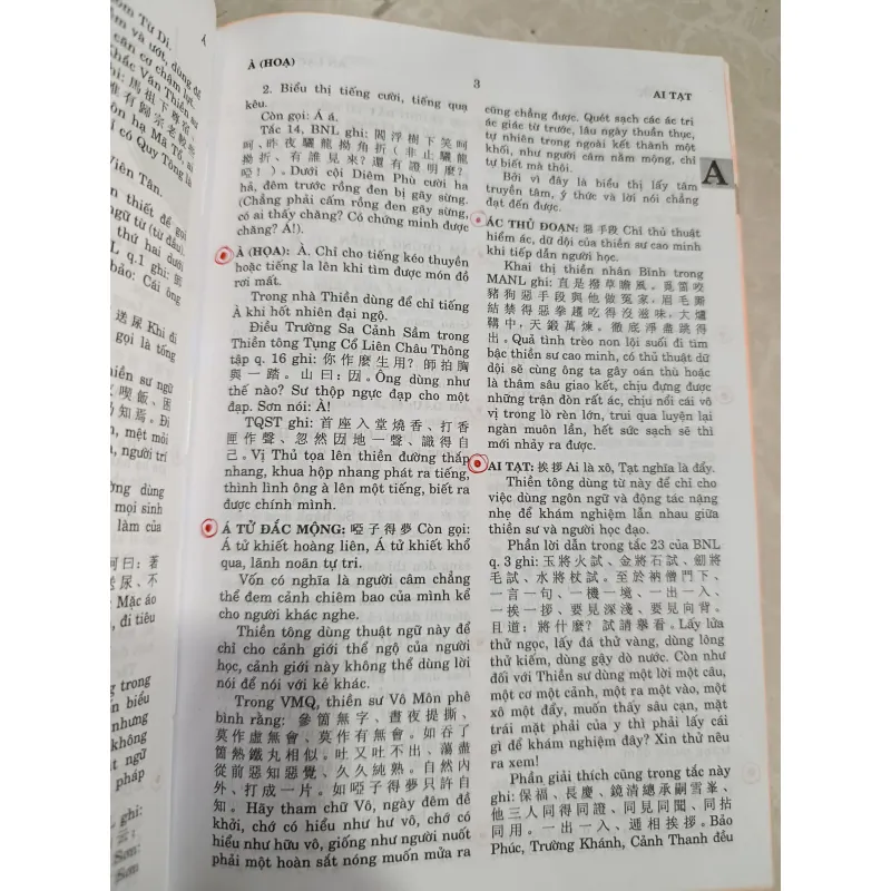 TỪ ĐIỂN THIỀN TÔNG HÁN VIỆT 558788