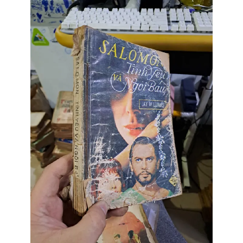[Sách Cũ SCGR] Salomon Tình yêu và ngôi báu 1989 Văn học nước ngoài HCM1709 678200