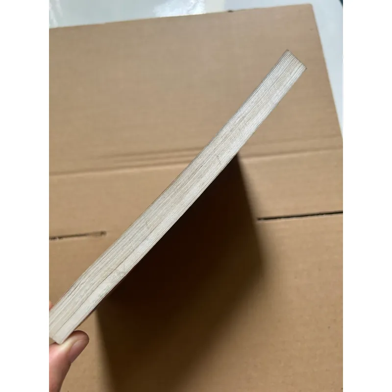 Dám dẫn đầu 997055