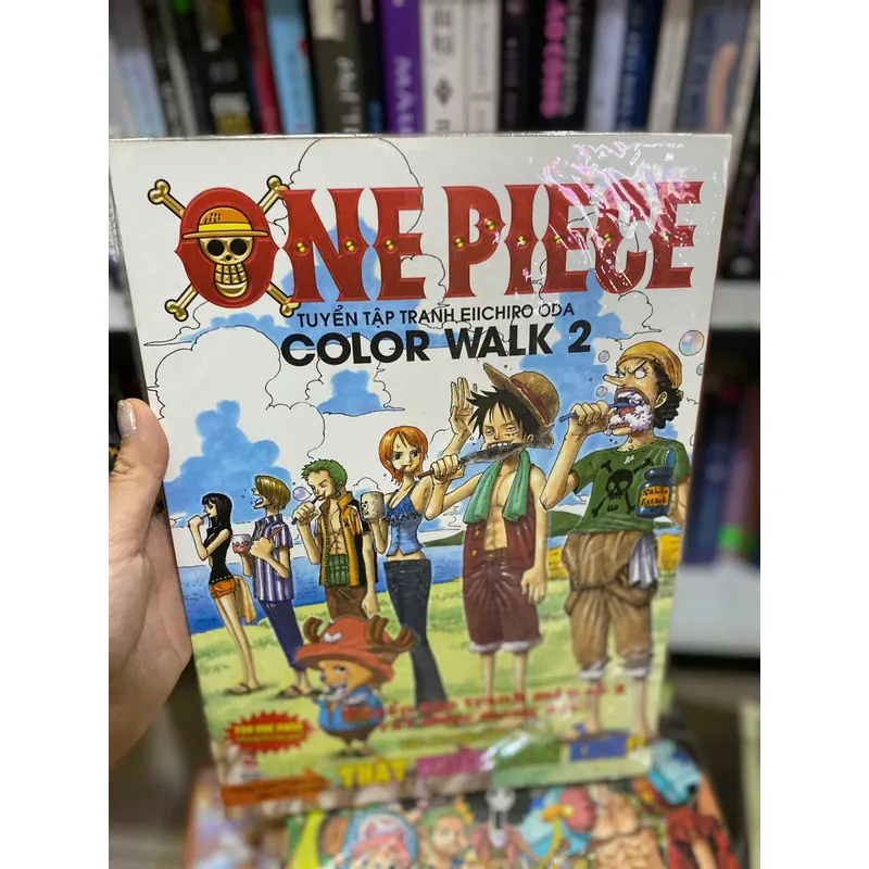 sách tranh "One Piece Color Walk 2" của tác giả Eiichiro Oda. 597039