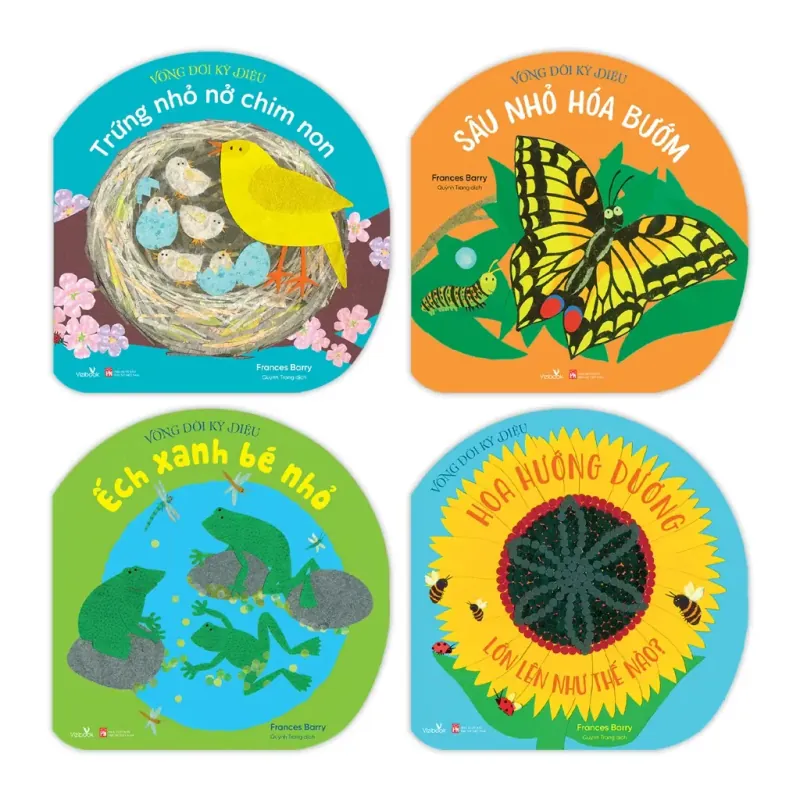 Vòng Đời Kỳ Diệu - Hoa Hướng Dương Lớn Lên Như Thế Nào?  753555